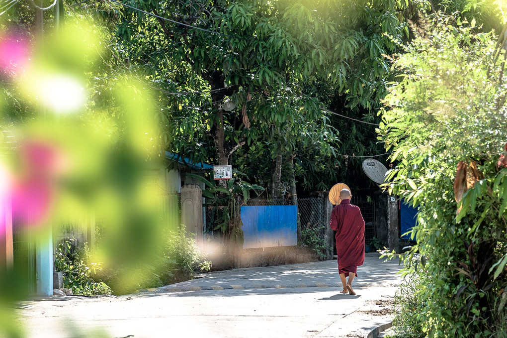 ヤンゴン寺院散歩✖STF