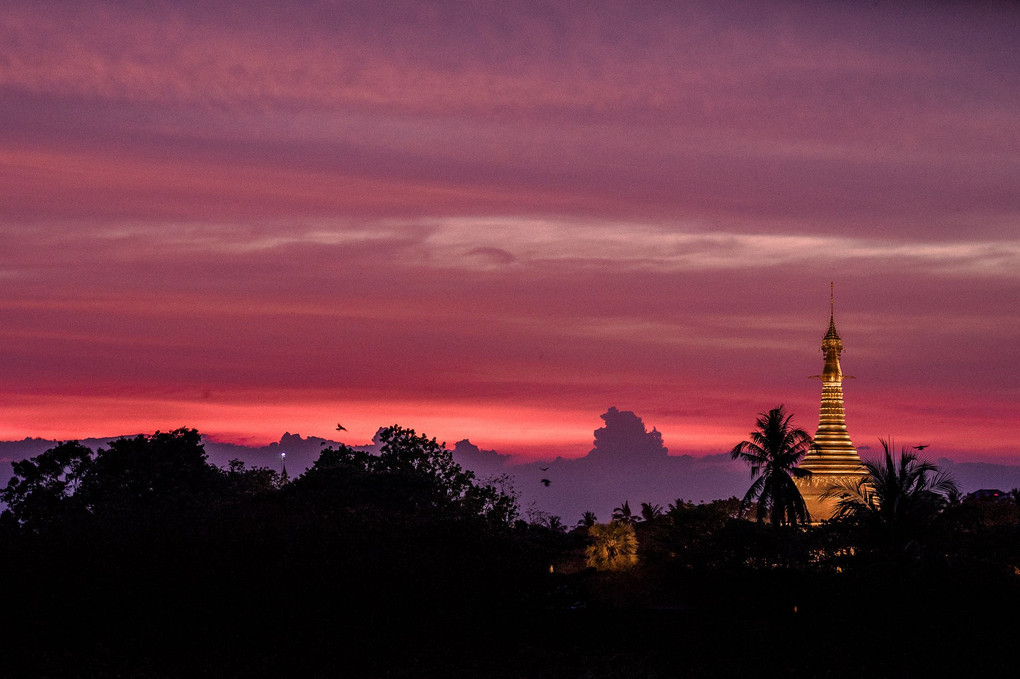 ヤンゴン寺院散歩✖STF