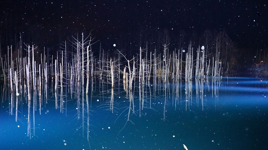 雪舞う青い池ブルーライト