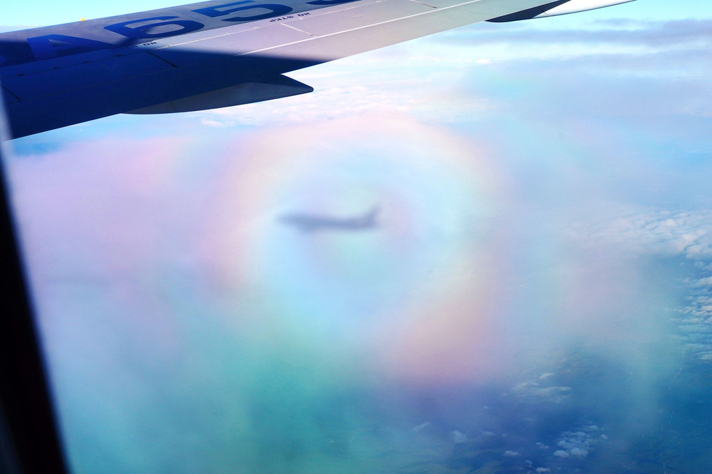 JAL機からの空中写真