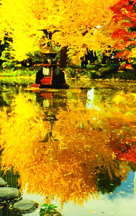 講師と行く　秋色探し散策@日比谷の公園編　参加写真