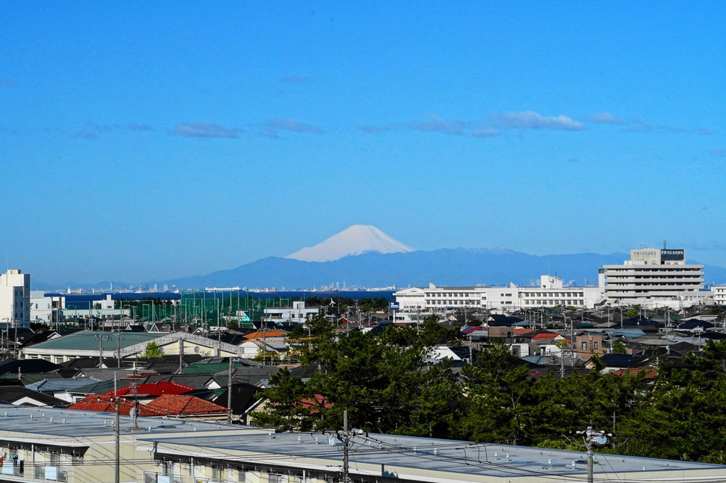 東京湾越えの富士山