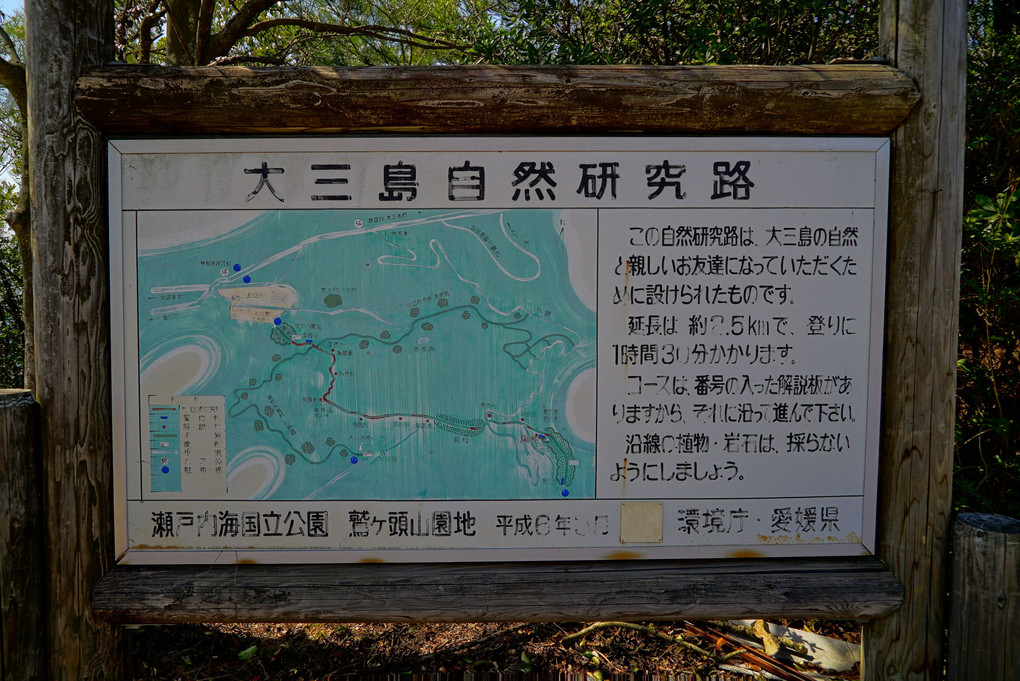 大三島自然研究路　　登り1時間30分