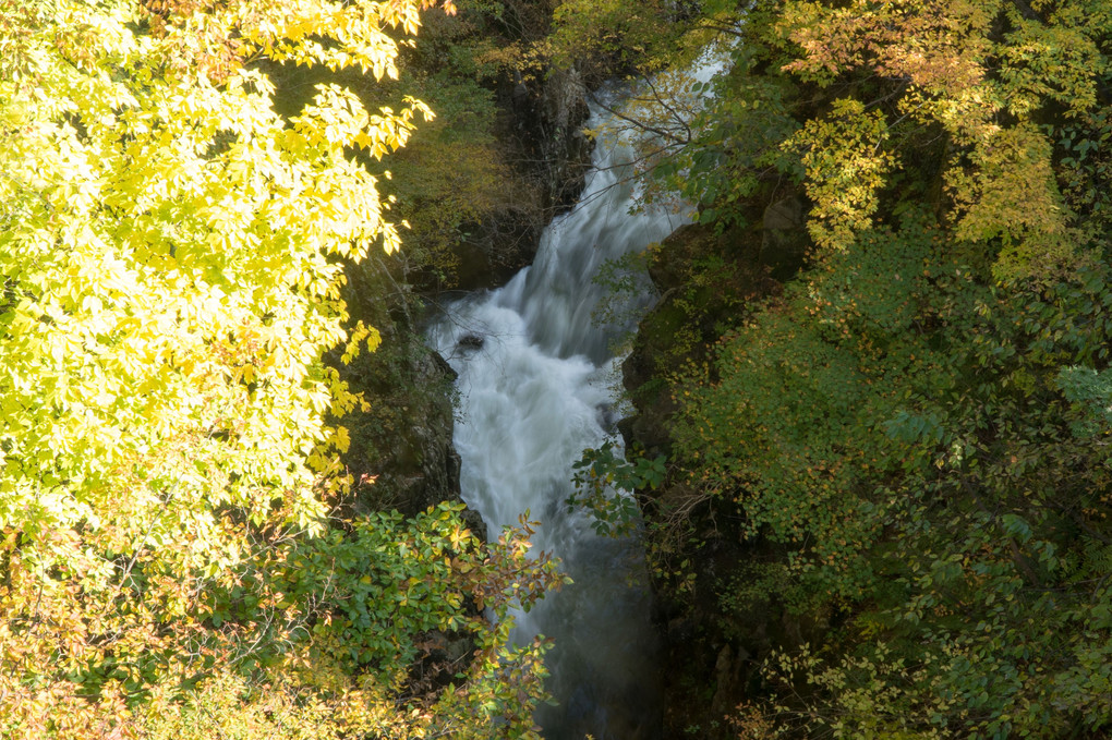 紅葉の中の滝の様な川