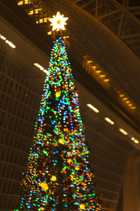 クリスマスツリー　　at　Kyoto　station