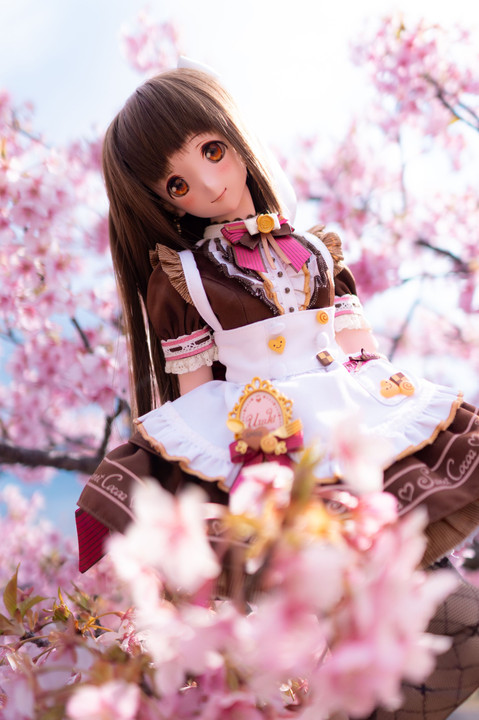 いらっしゃいませ、桜カフェにようこそ！