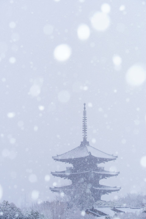 京の降雪