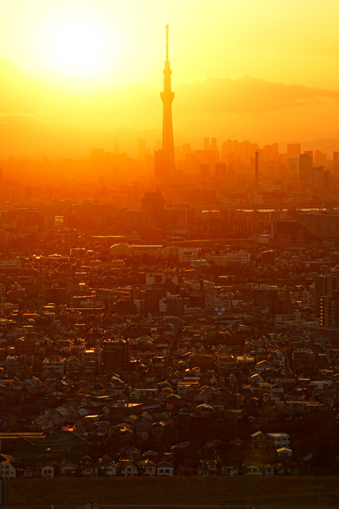 夕陽に霞む大都市東京