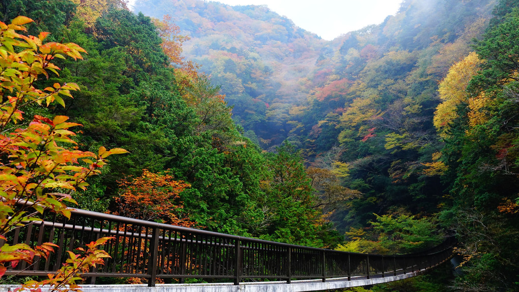 奈良県　天川村　みたらい渓谷の秋