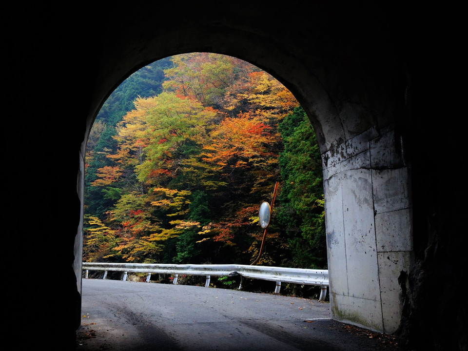 奈良県　天川村　みたらい渓谷の秋