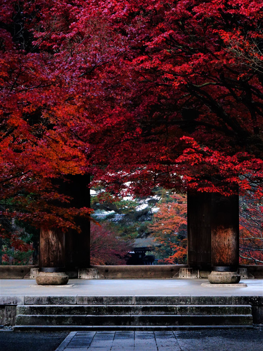 秋深まりの南禅寺