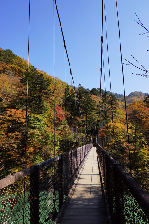 塩原温泉　回顧の吊橋からの紅葉