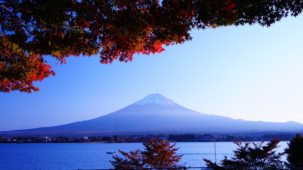 錦秋の富士山