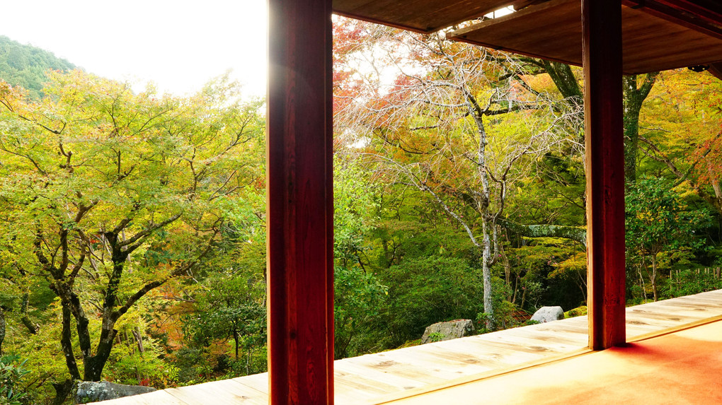 京都　高山寺