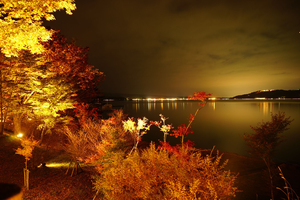 山中湖とライトアップされた紅葉
