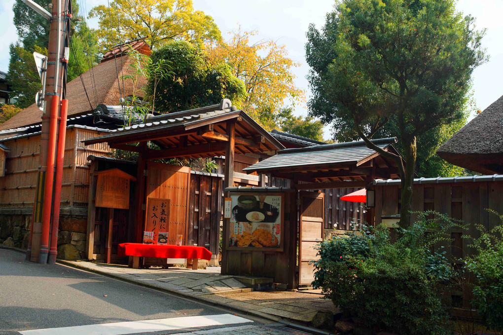 京都の秋、撮り歩き三景、季節良し最高やな～