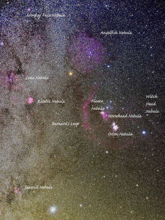 ノーマル機で写す冬の星雲たち