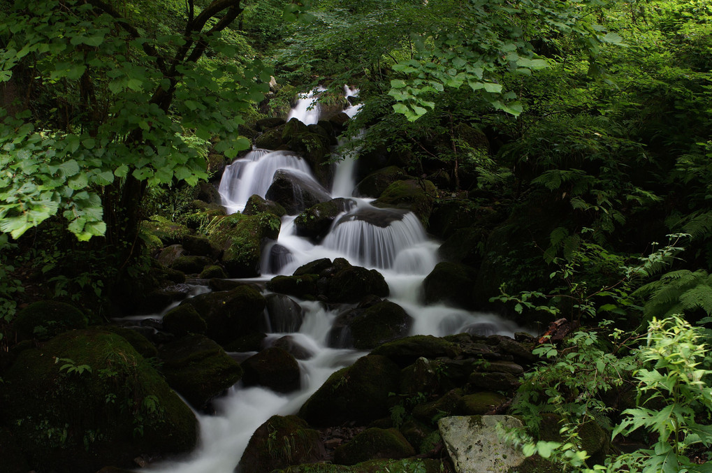 鳥取県の雨滝に行ってきました