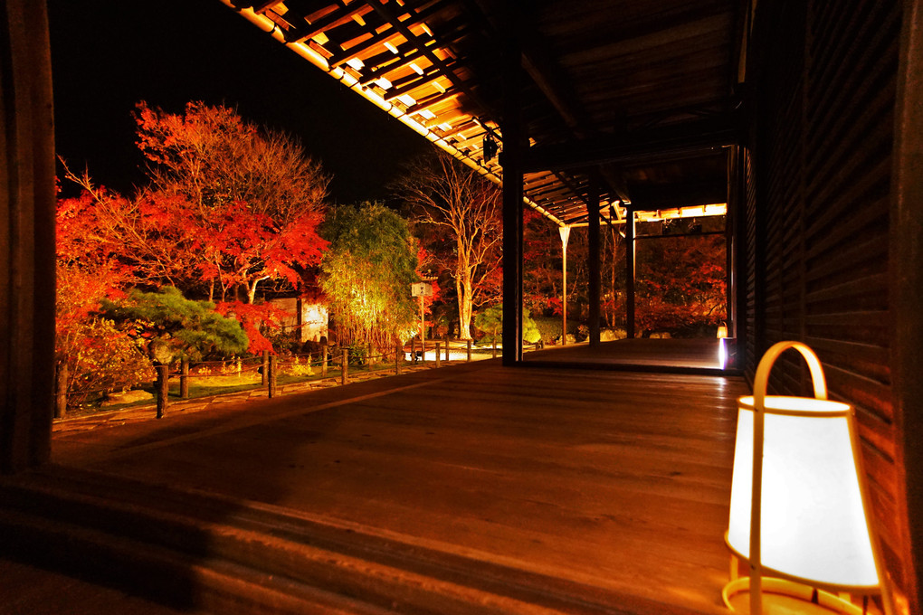 南禅寺　永観堂のライトアップ