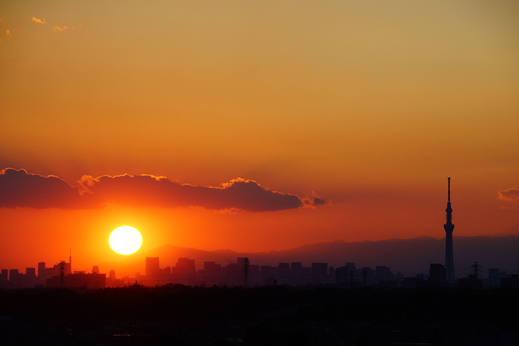 夕陽と東京スカイツリー