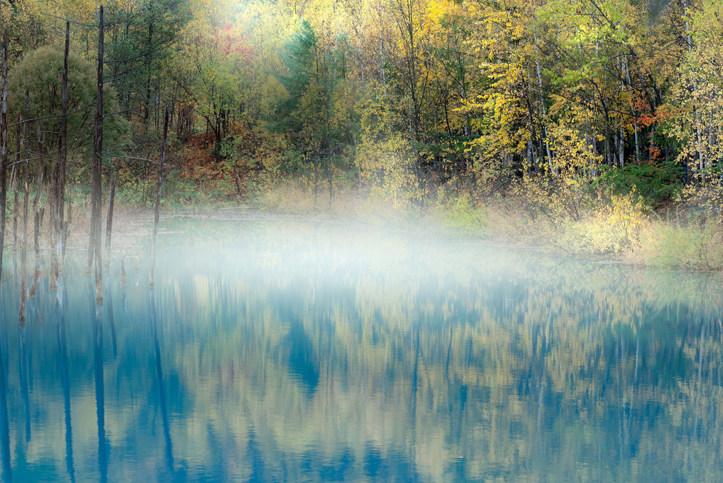 Blue Pond in the morning mist