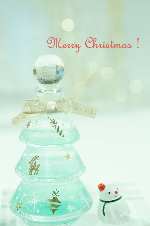 I Wish You a Very Merry Christmas !