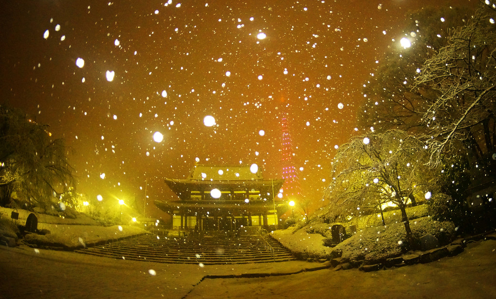 御礼　GOLD spoon！　「増上寺に雪が降る」