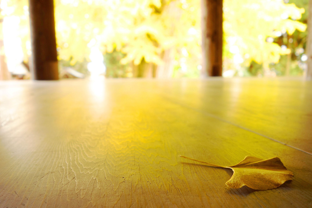 黄金色の床。