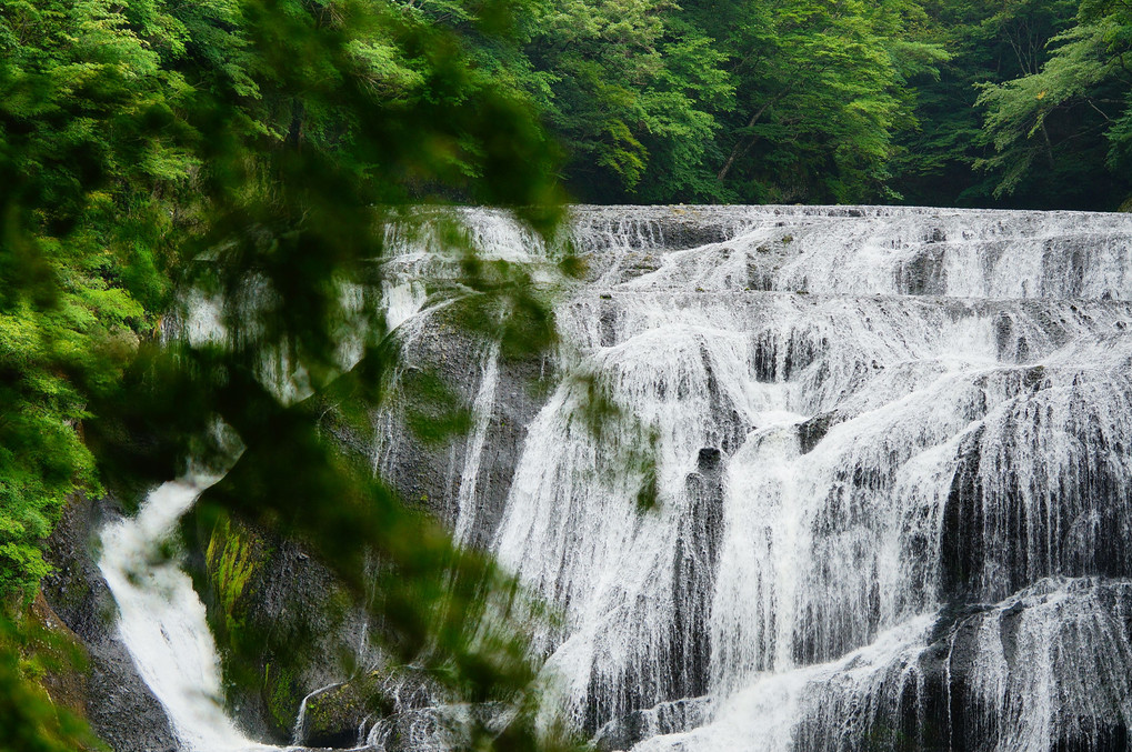 夏の大滝・袋田の滝