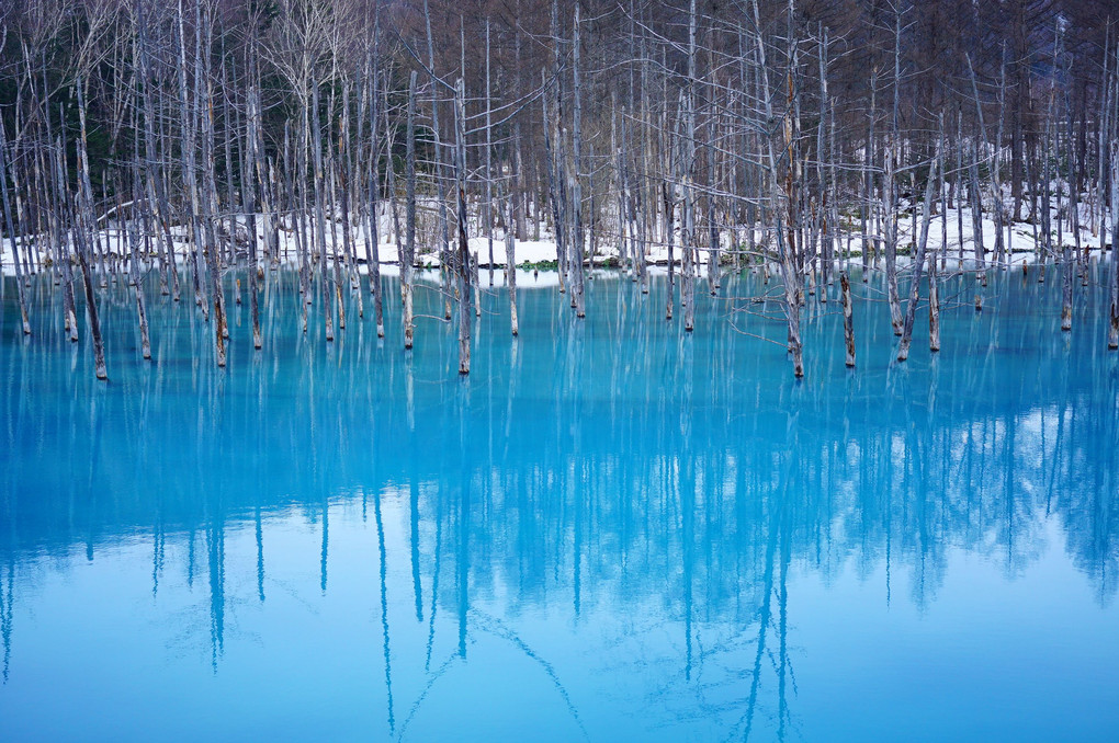 雪解けの青い池