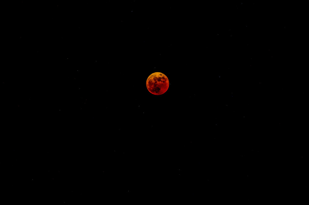  lunar eclipse_20221108