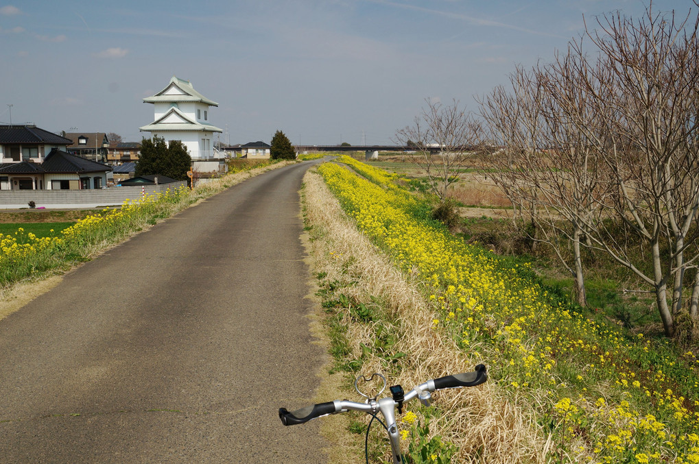 春風に誘われて～小貝川、鬼怒川自転車散歩