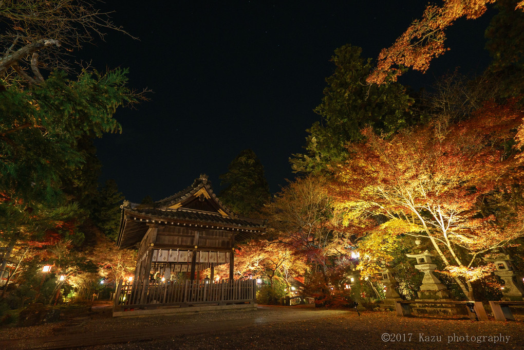 せやっ！秋の京都に行こう ④ 鍬山神社紅葉のライトアップ編