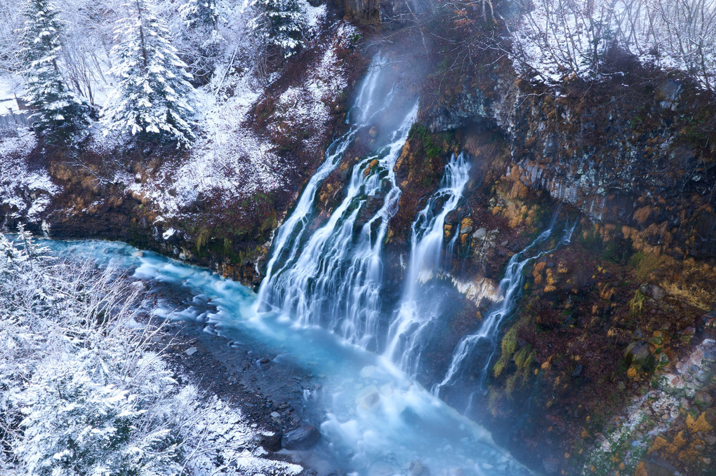 雪の白ひげの滝