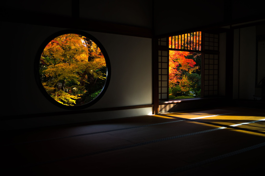 京都の秋