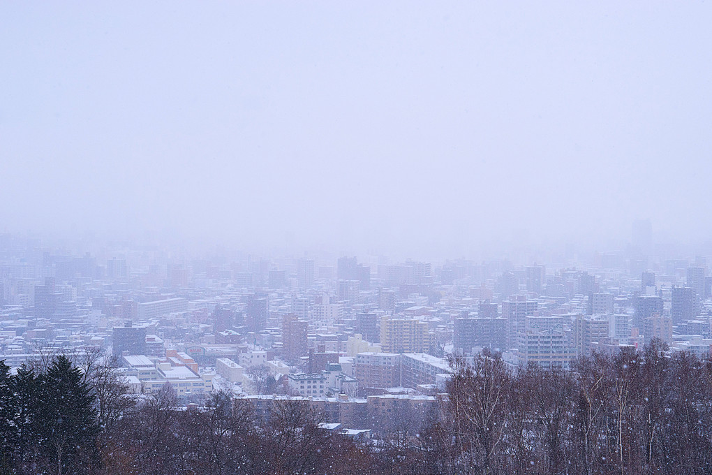 雪と靄の札幌