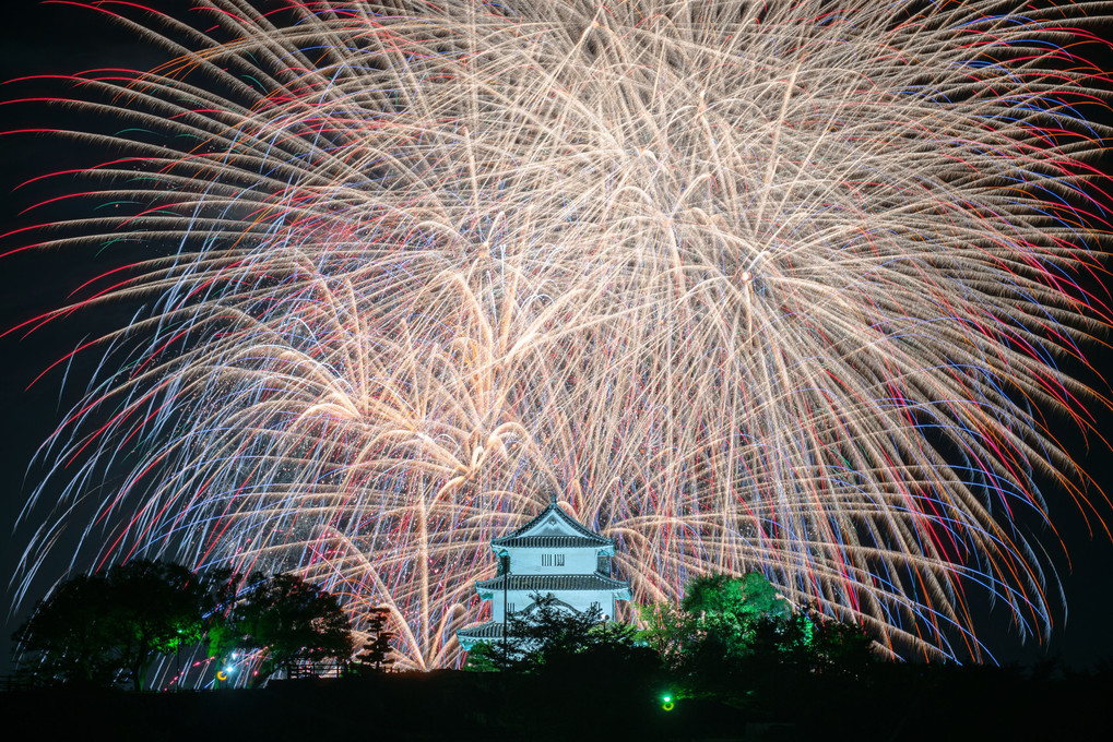 丸亀城に咲く花火