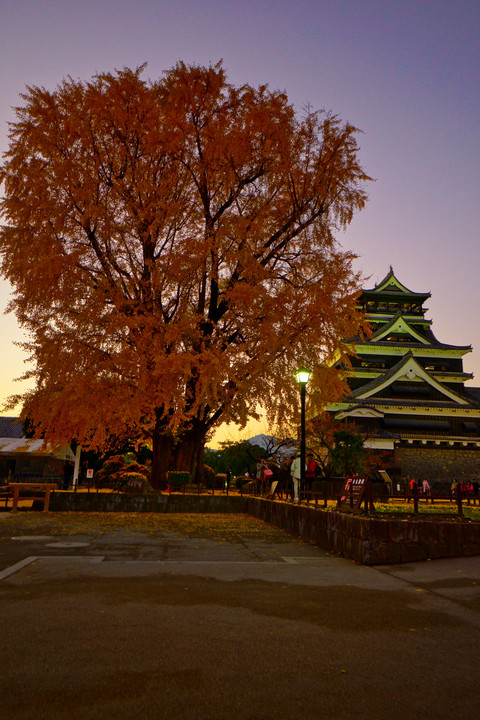 秋の熊本城三景