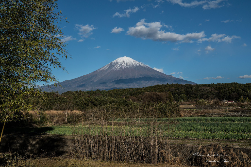 柚野の里からの富士山
