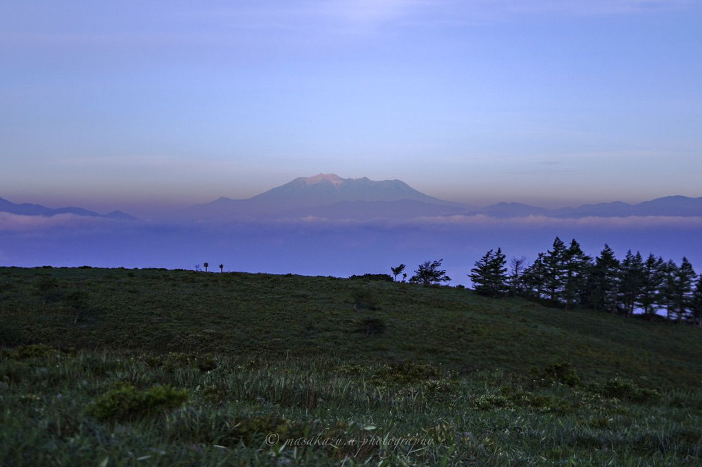 霧ケ峰高原　日光キスゲとアルプスの山々⛰️