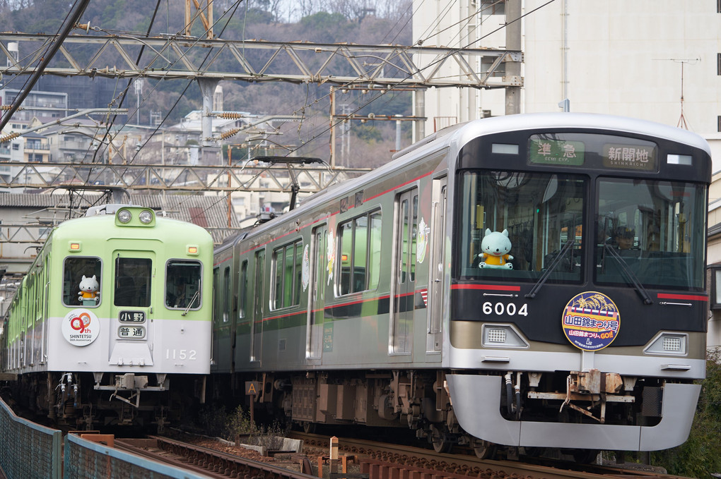 神戸電鉄 2019 #1 ～山田錦まつり号～