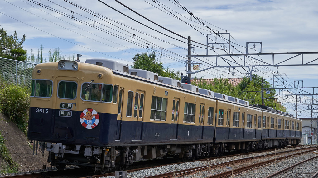 山陽電機鉄道 2019 #1 ～3000系復刻カラー～