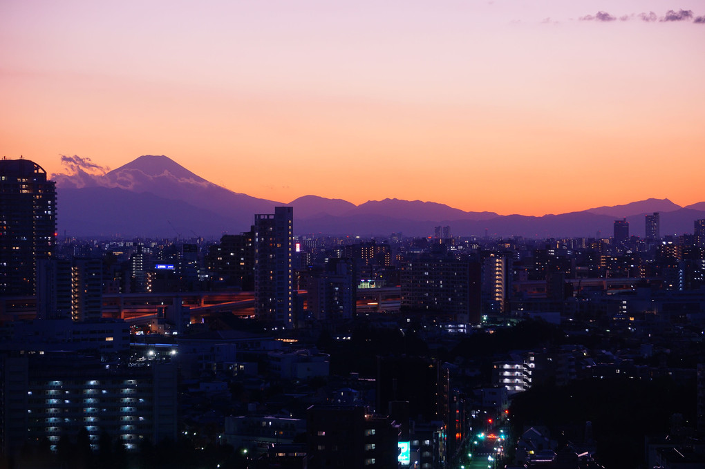 都会を見下ろす富士山