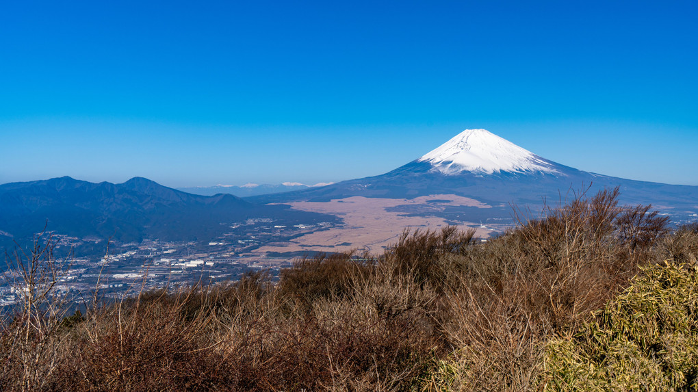 箱根富士展望