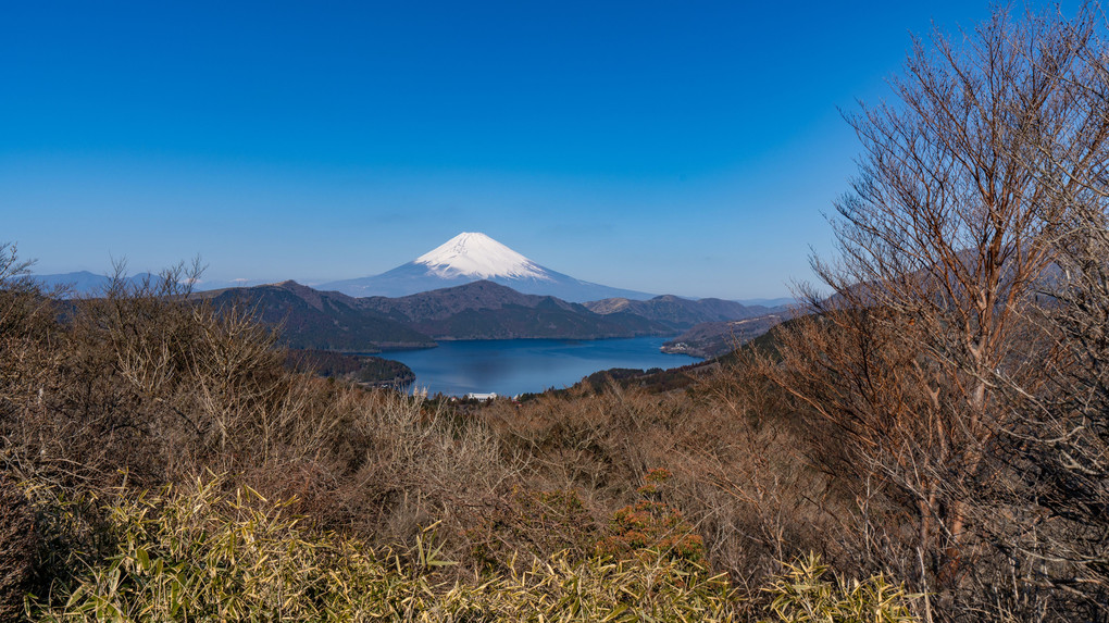 箱根富士展望