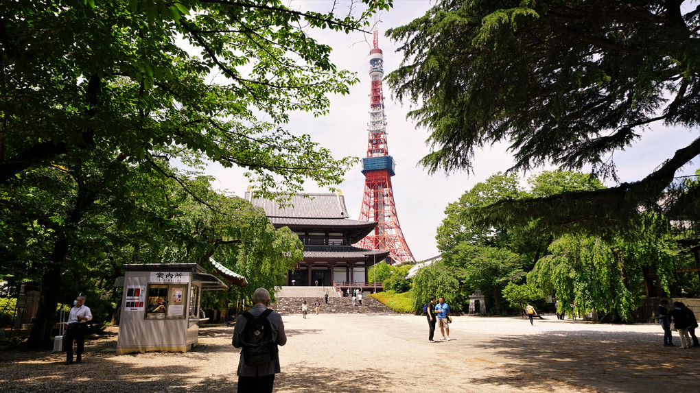 春の増上寺と東京タワー