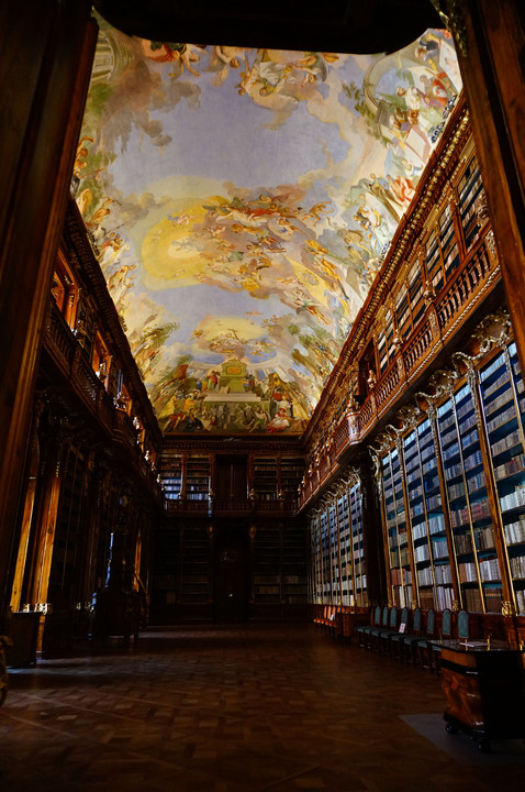 豪華な図書館