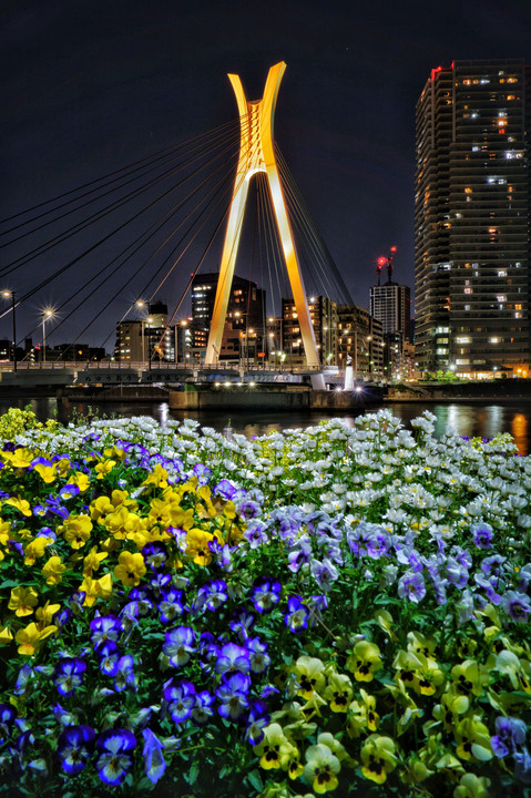 春宵の中央大橋