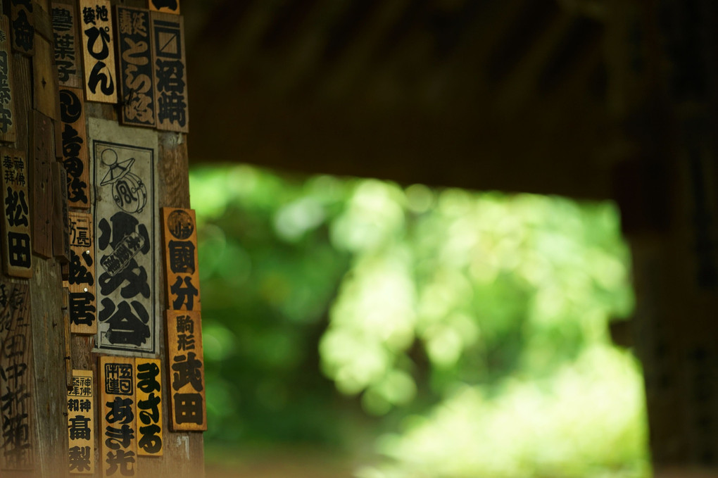 夏の情景 ～清水徹の「古都鎌倉を巡る」～ その２
