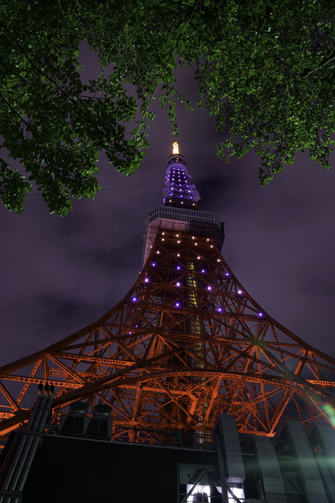 東京タワー　Viewpoint
